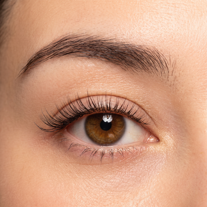 Magnetic Lashes 2.0